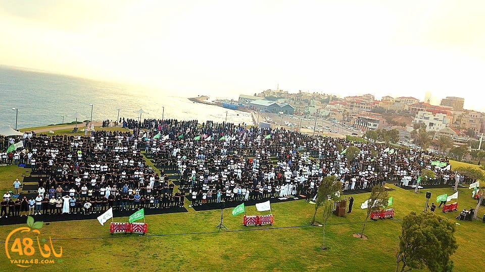 WhatsApp Image 2023-06-28 at 11.33.52 AM (2).jpeg